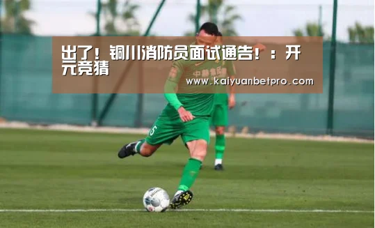 出了!铜川消防员面试通告!:开元竞猜(图2) 开元竞猜