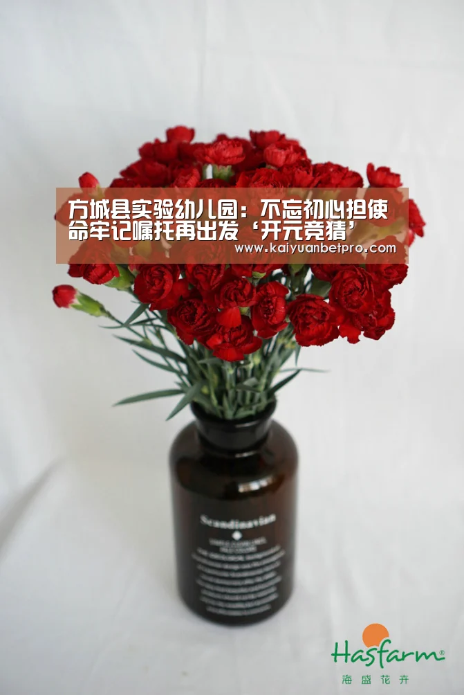 方城县实验幼儿园:不忘初心担使命牢记嘱托再出发‘开元竞猜’(图3) 开元登录