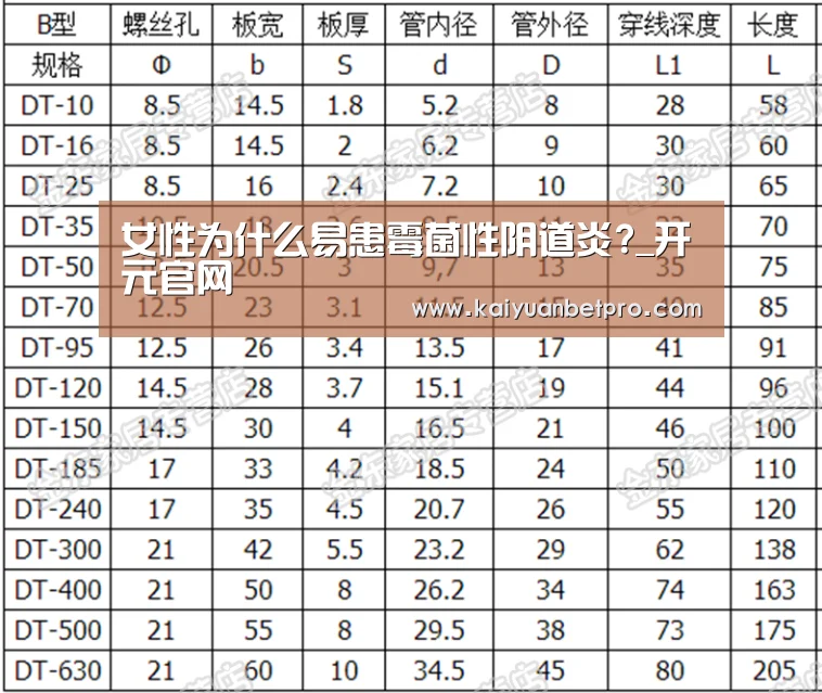 开元官网